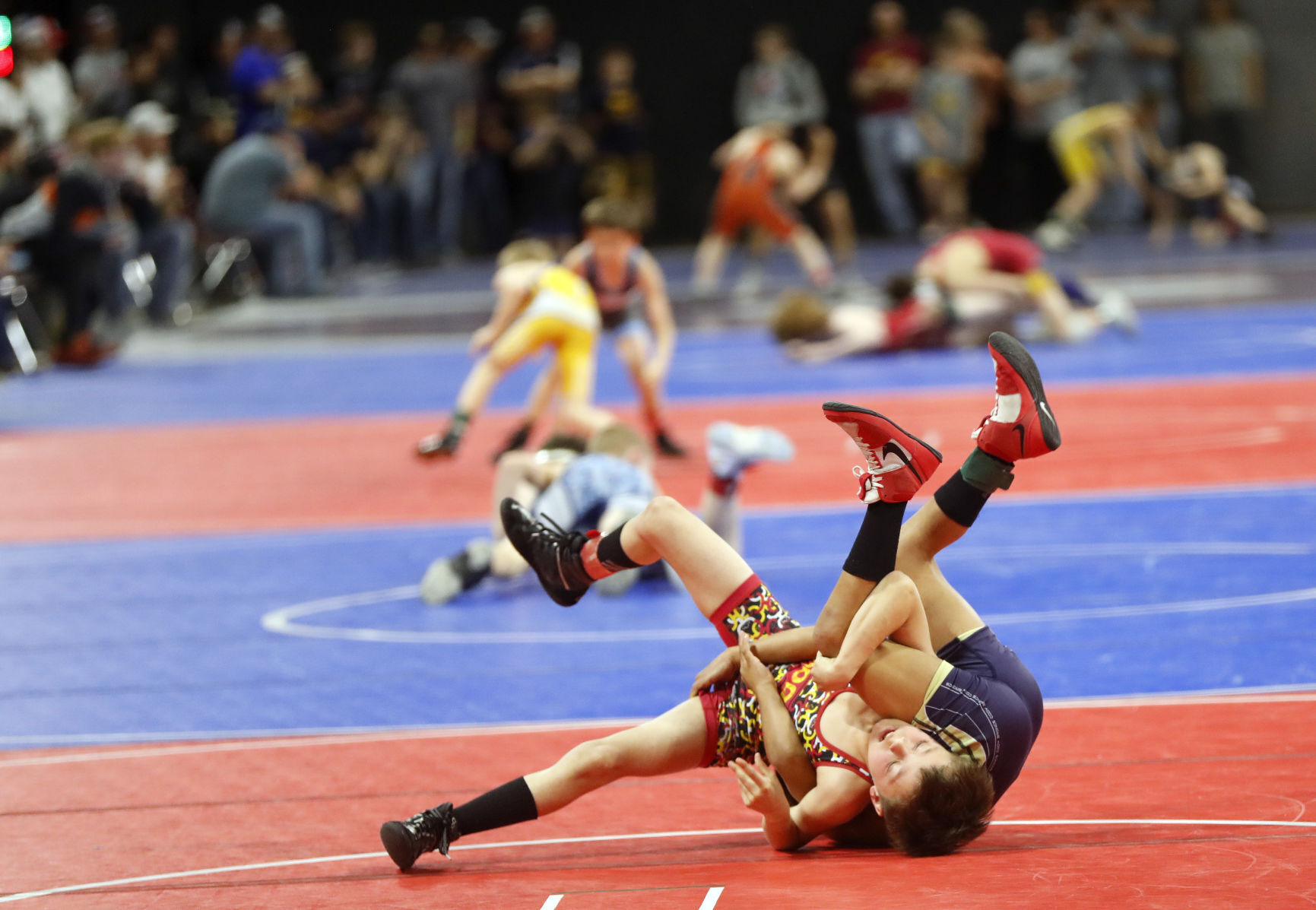Montana Open